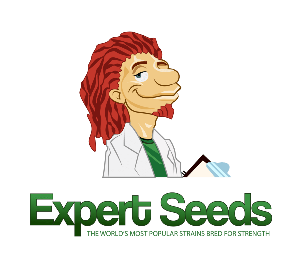 expert seed2 01 2